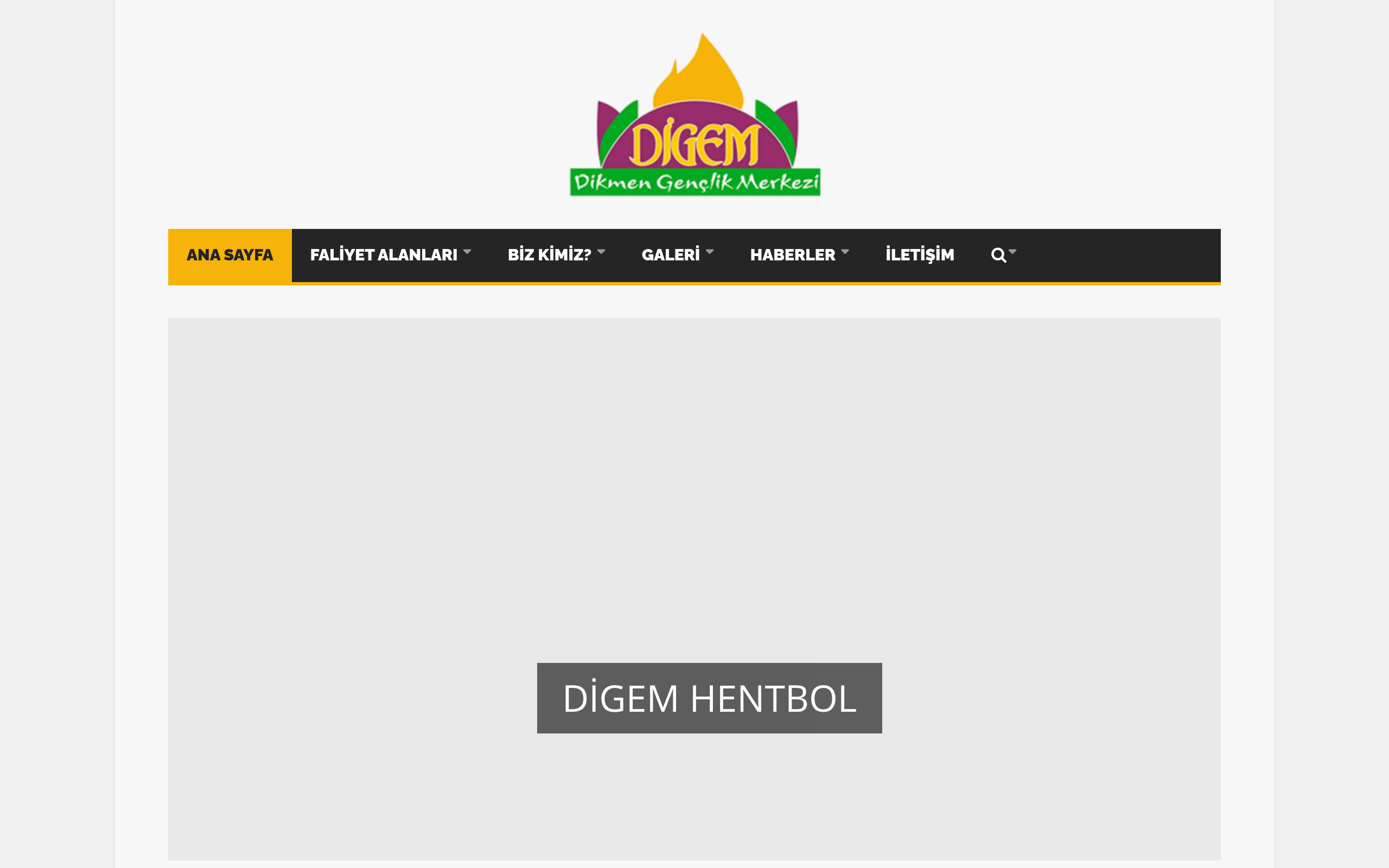 Digem.org ekran görüntüsü